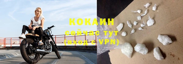 индика Белокуриха