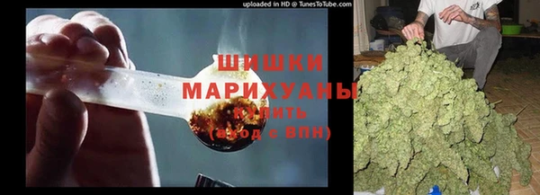 индика Белокуриха