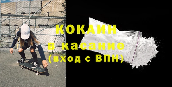 индика Белокуриха