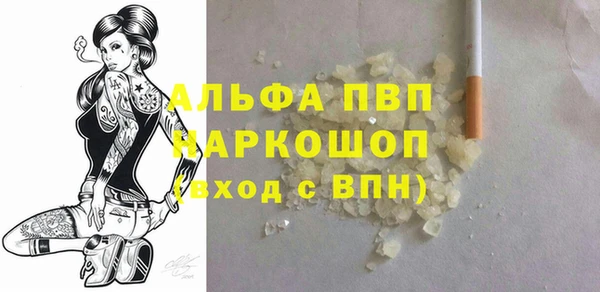 индика Белокуриха